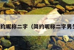 简约昵称二字（简约昵称二字男生）