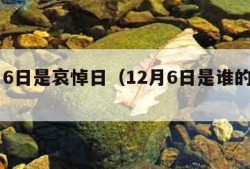 12月6日是哀悼日（12月6日是谁的诞辰）