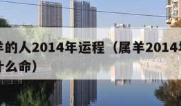 属羊的人2014年运程（属羊2014年的是什么命）