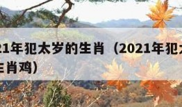 2021年犯太岁的生肖（2021年犯太岁的生肖鸡）