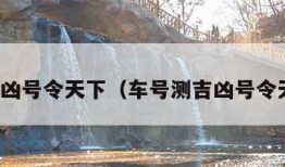 测吉凶号令天下（车号测吉凶号令天下）