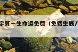 生辰八字算一生命运免费（免费生辰八字算命命运）