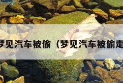 梦见汽车被偷（梦见汽车被偷走）