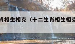 十二生肖相生相克（十二生肖相生相克相冲相害表）