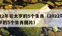 2022年犯太岁的5个生肖（2022年犯太岁的5个生肖图片）