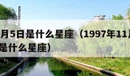 11月5日是什么星座（1997年11月5日是什么星座）